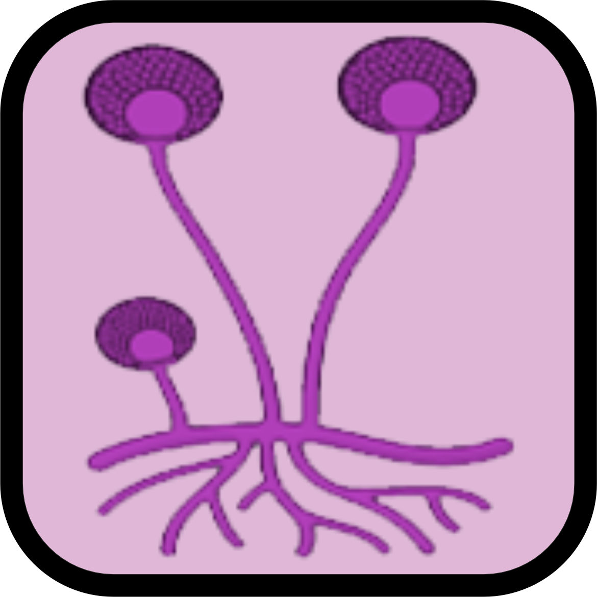 Mold Icon
